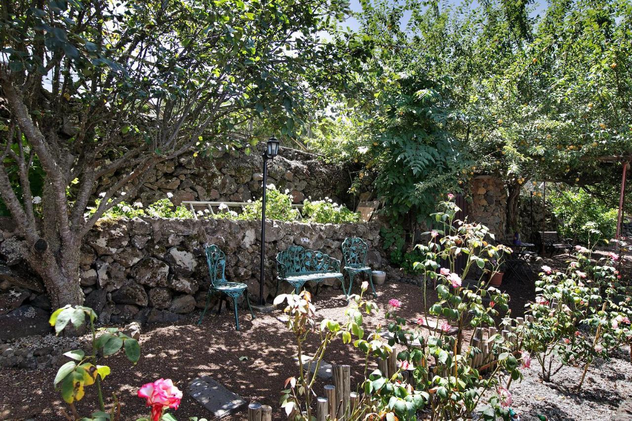 Finca Las Carmenes Icod De Los Vinos Buitenkant foto