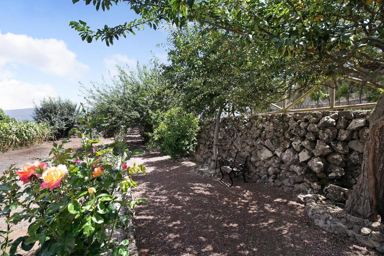 Finca Las Carmenes Icod De Los Vinos Buitenkant foto