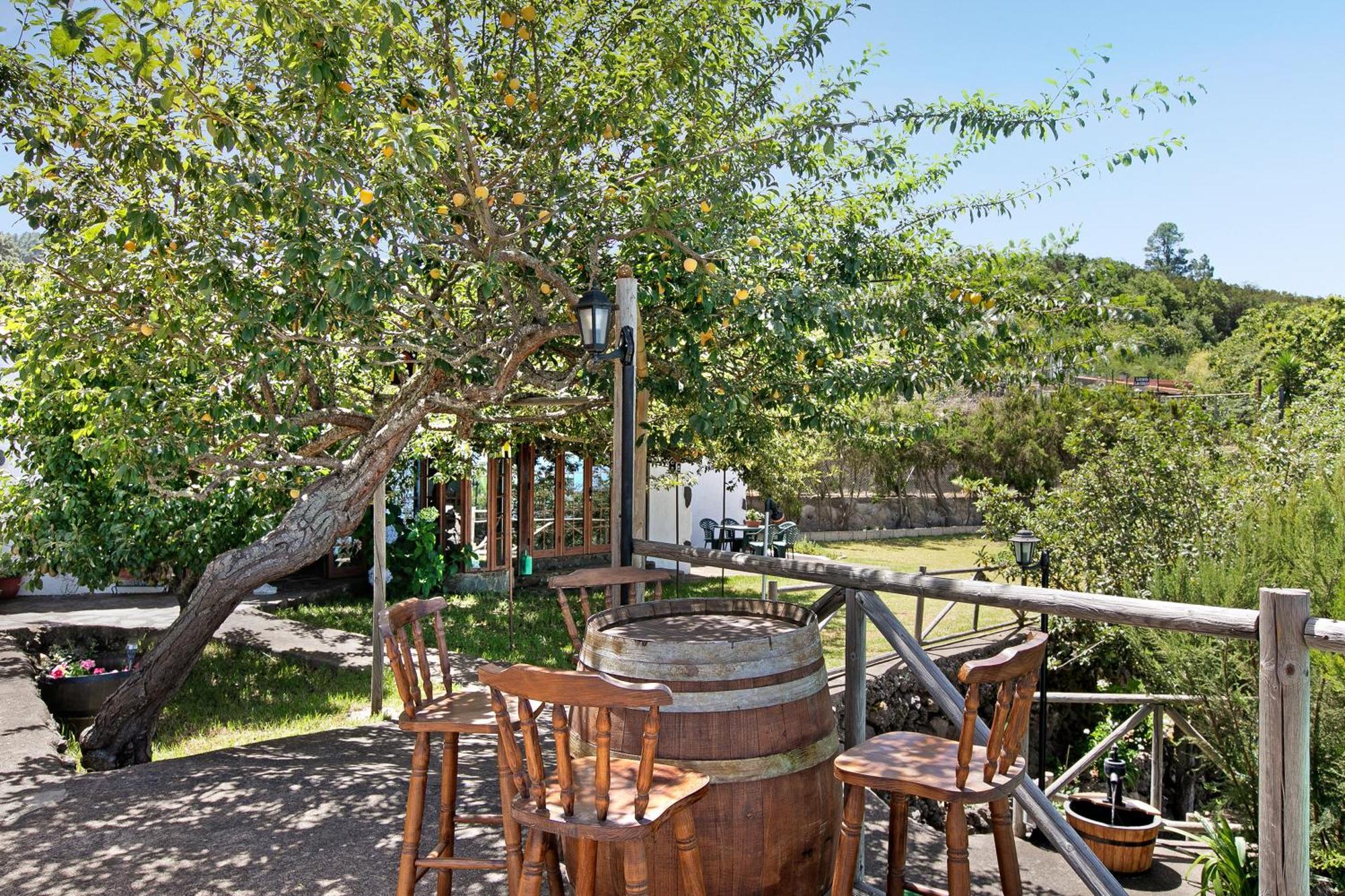 Finca Las Carmenes Icod De Los Vinos Buitenkant foto